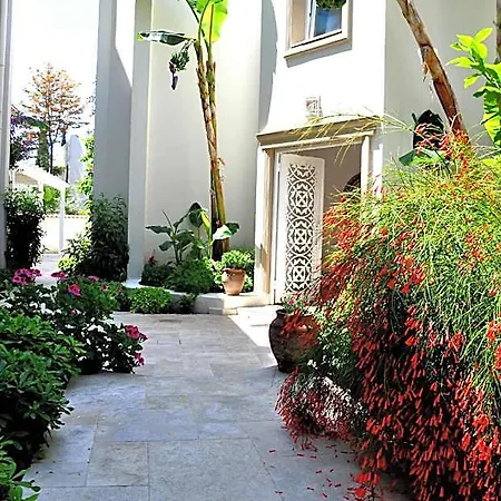 Olivias Group 3* Bodrum